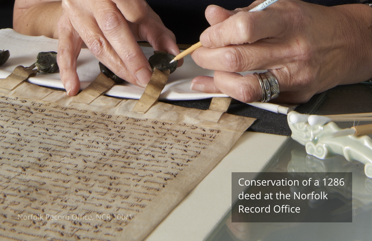 Conservation of a 1286 deed at the Norfolk Record Office